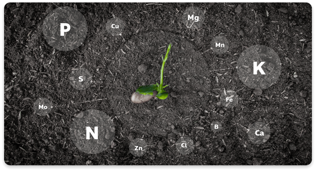 Test for soil available potassium (K)