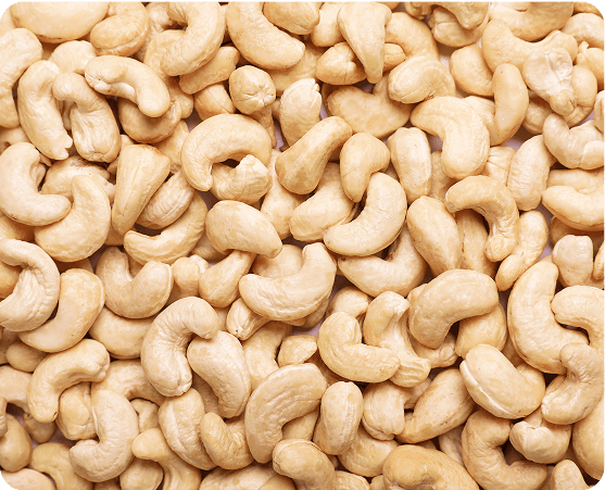 cashew