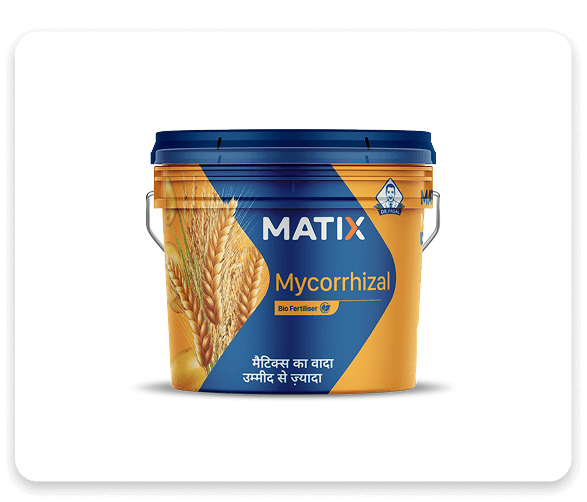 Mycorrhizal Biofertiliser